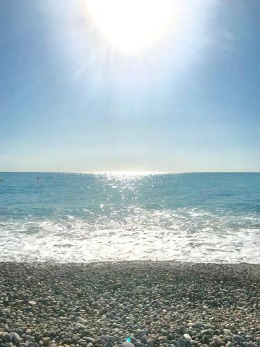 Apartamento Fleur D'azur 100 M De La Plage
