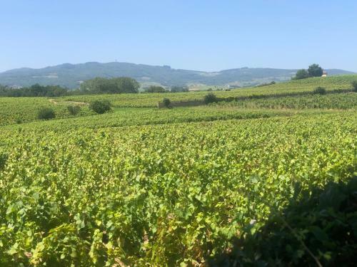 Bed & Breakfast La Gatille