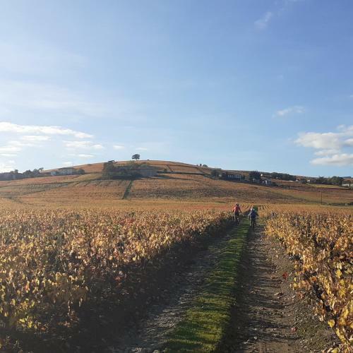 Bed & Breakfast Foudres Du Ch�ne Du Py