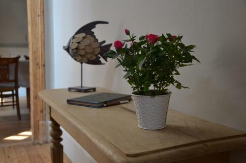 Bed & Breakfast Guesthouse La Mascotte