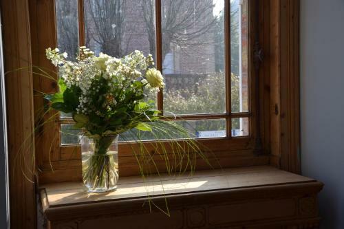 Bed & Breakfast Guesthouse La Mascotte