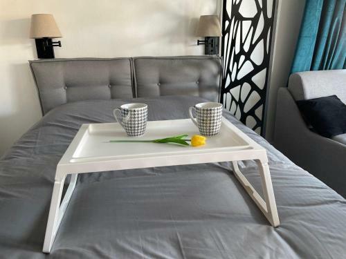 Apartamento Studio Terrasse Vue Mer