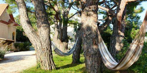 Bed & Breakfast Le Clos Vitis