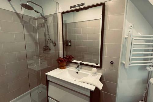 Apartamento Le Yellow Corner Voironnais
