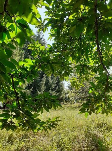 Les Germ'avenir G�te