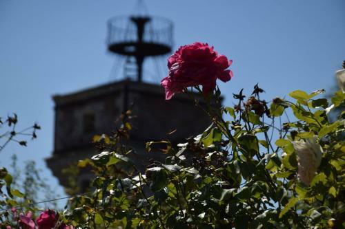 Hotel Chateau De Jallanges - Les Collectionneurs