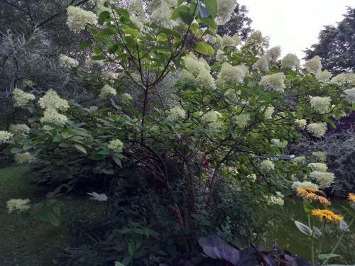Bed & Breakfast La Haie � Cerf