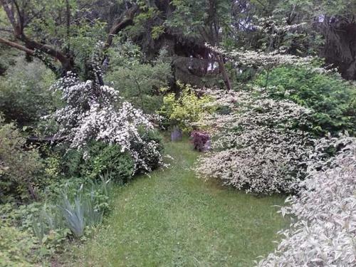Bed & Breakfast La Haie � Cerf