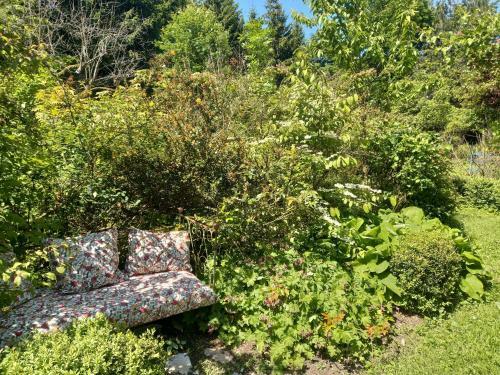 Bed & Breakfast La Haie � Cerf