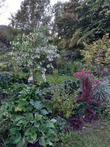 Bed & Breakfast La Haie � Cerf