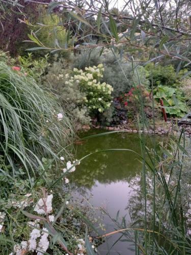 Bed & Breakfast La Haie � Cerf
