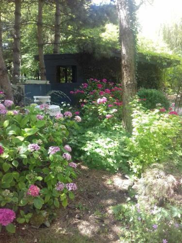 Bed & Breakfast La Haie � Cerf