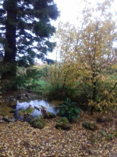 Bed & Breakfast La Haie � Cerf