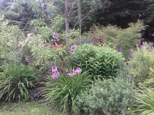 Bed & Breakfast La Haie � Cerf