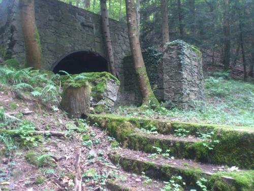 Apartamento Gite Des Tilleuls