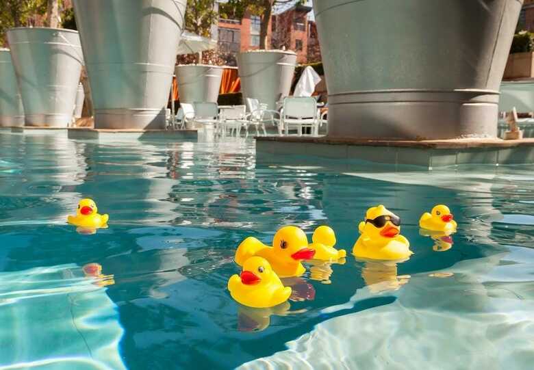 Hotel African Pride Melrose Arch