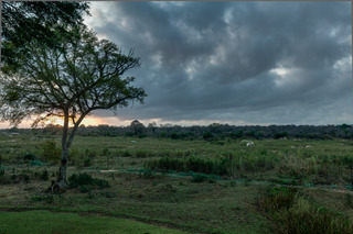 Hotel Protea Kruger Gate