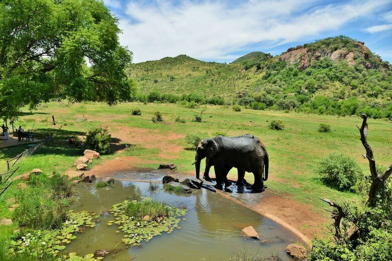 Hotel Kwa Maritane Bush Lodge