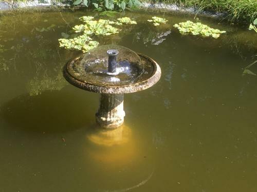 Bed & Breakfast Le Belv�d�re