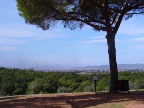 Agroturismo Agriturismo Bronzivalle