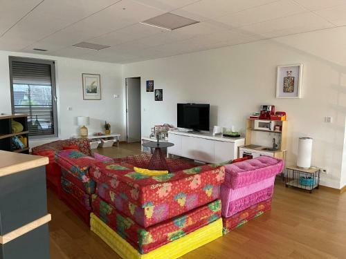 Villa Luxury Colmar