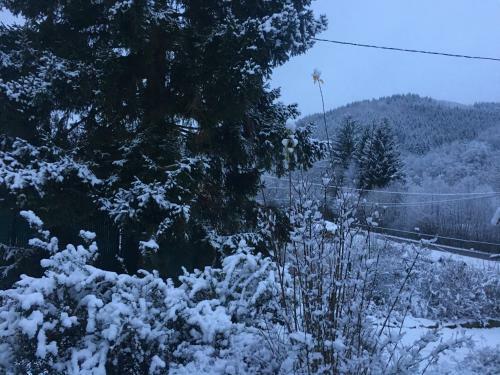 Chalet Du Champs Des Semeaux