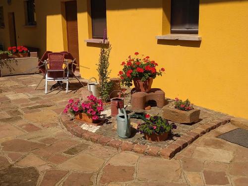 Apartamento Le P�lican