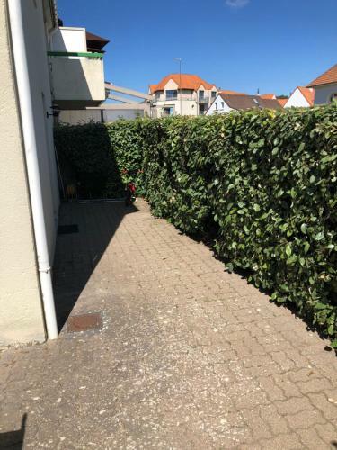 Apartamento Studio Petit Break Wissant Avec Terrasse