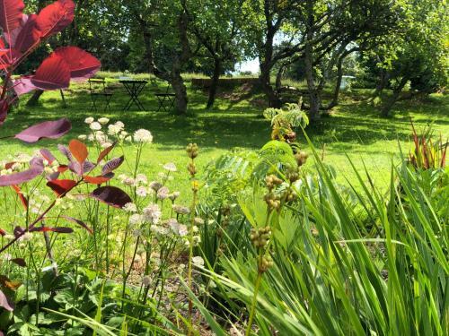 Bed & Breakfast Demeure Du Porzou