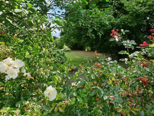 Domaine De La R�glani�re