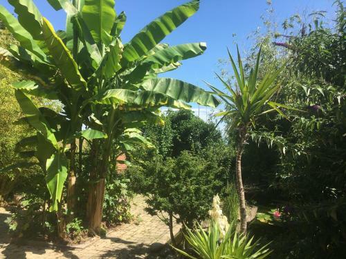 Apartamento Au Nid De Cigogne