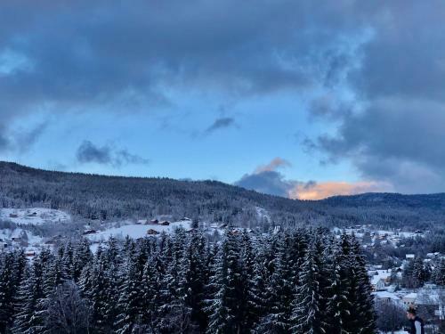 Le Bois Des Neiges Charmant Chalet Authentique Proche G�rardmer