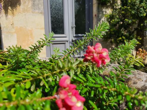 Bed & Breakfast Clos R�aud De La Citadelle