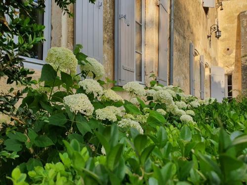Bed & Breakfast Clos R�aud De La Citadelle