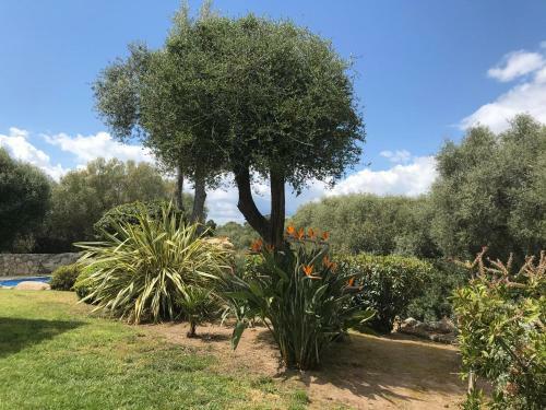 Charming Villa 800 M From A Fine Sandy Beach