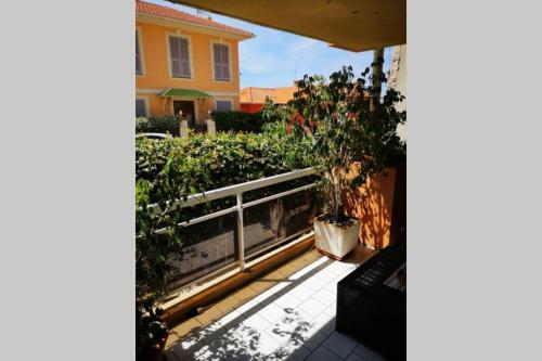 Apartamento Cap D'ail : Spacieux 2 Pi�ces En Face Des Plages.