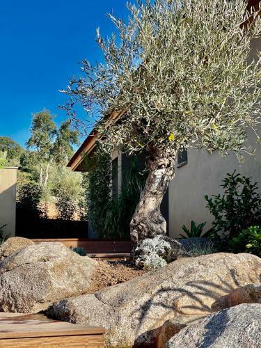 Villa Eva, Vue Mer Et Montagne, Plage � Pieds