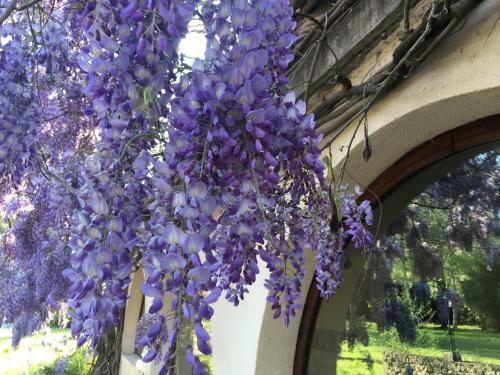Bed & Breakfast Villa Franciana