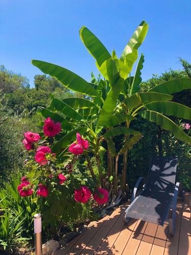 Apartamento Le 5 Sens