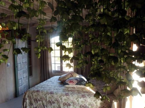 Apartamento Le Mas Saint Pierre