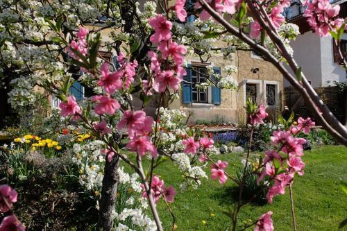 Bed & Breakfast La Foy�re