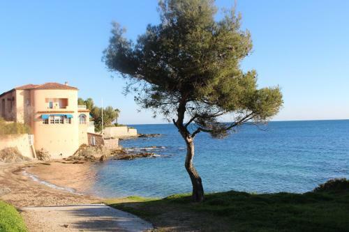 Apartamento Villa Reva Appartement