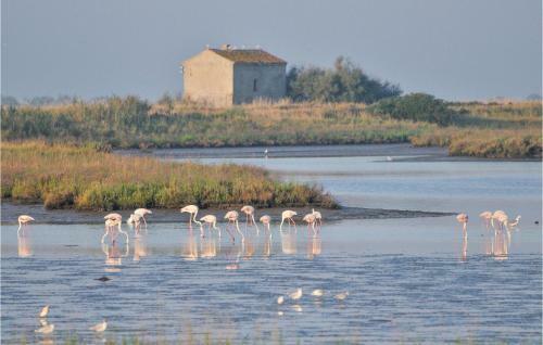 Apartamento Pino