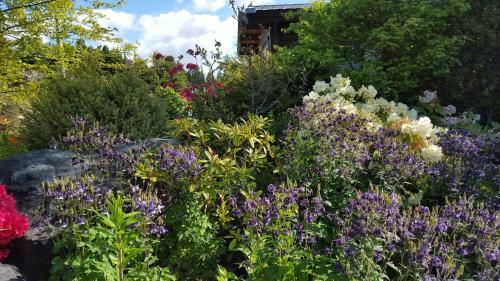 Bed & Breakfast Marie Therese B & B