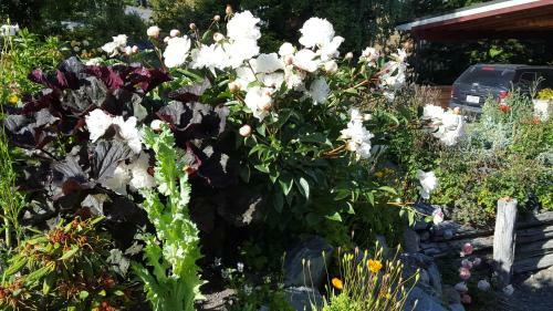 Bed & Breakfast Marie Therese B & B