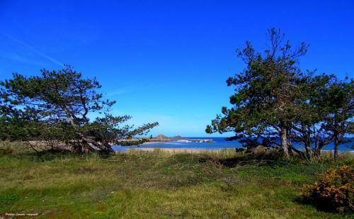 Apartamento La Plage Cap Houses