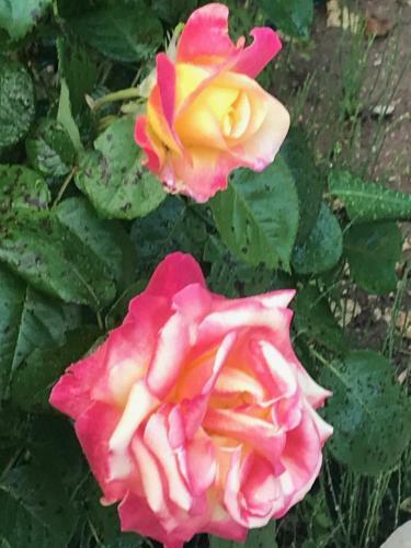 Villa Man� B&B Chambre D'hote