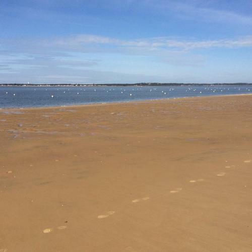 Apartamento Appartement Pyla Les C�dres