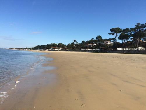 Apartamento Appartement Pyla Les C�dres