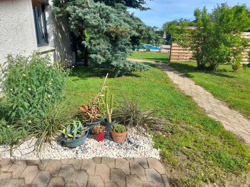 Bed & Breakfast La Maison Du Bonheur